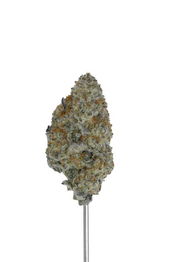 Cereal Milk THCa Hemp Flower - Image 3