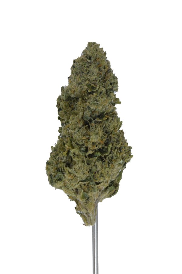 Dr. J THCa Hemp Flower - Image 4