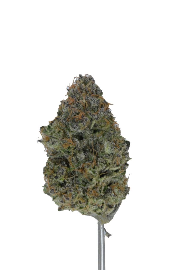 Lucid Blue THCa Hemp Flower - Image 4