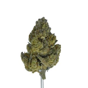 Rainbow Sherb THCa Hemp Flower - Image 3