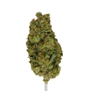 Blueberry Muffin THCa Flower - Image 3