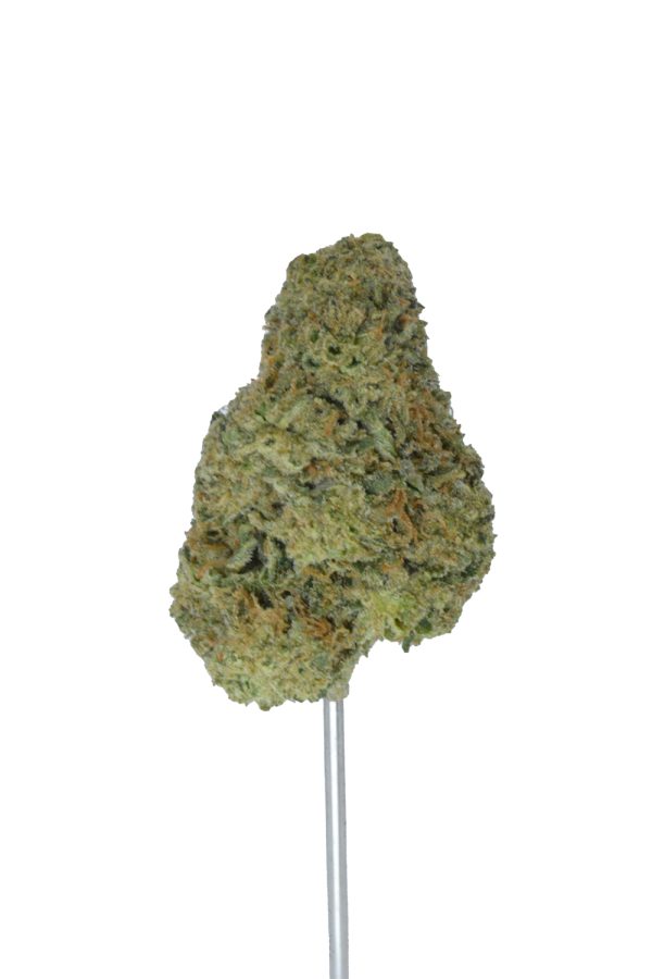 Hash Burger THCa Flower - Image 2