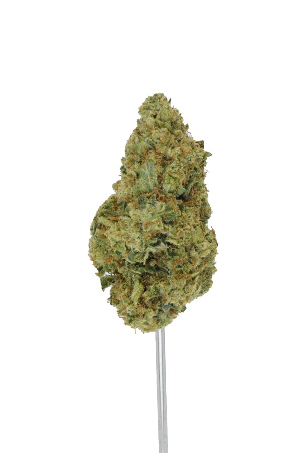 Monkey Mints THCa Flower - Image 3