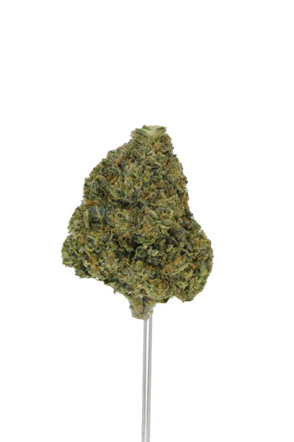 Tropical Burst THCa Flower - Image 3