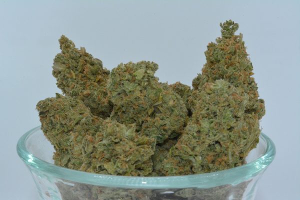 Blue Dream THCa Flower - Image 4