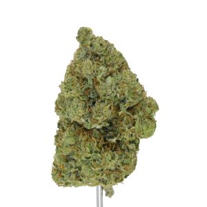 Gorilla Truffles THCa Flower - Image 3