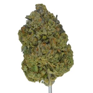 Banana Cream Cake THCa Flower