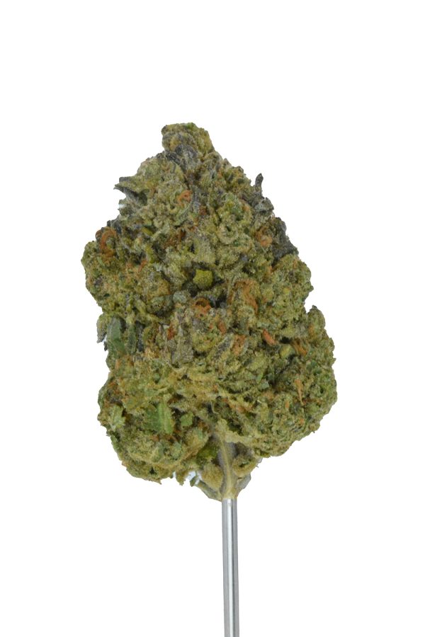 Banana Cream Cake THCa Flower