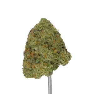 Banana Cream Cake THCa Flower - Image 3