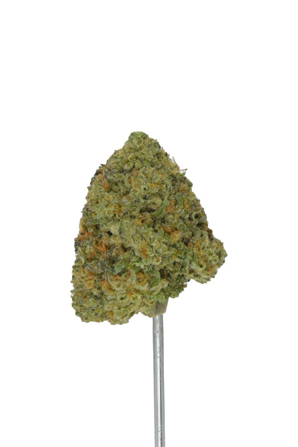 Banana Cream Cake THCa Flower - Image 3