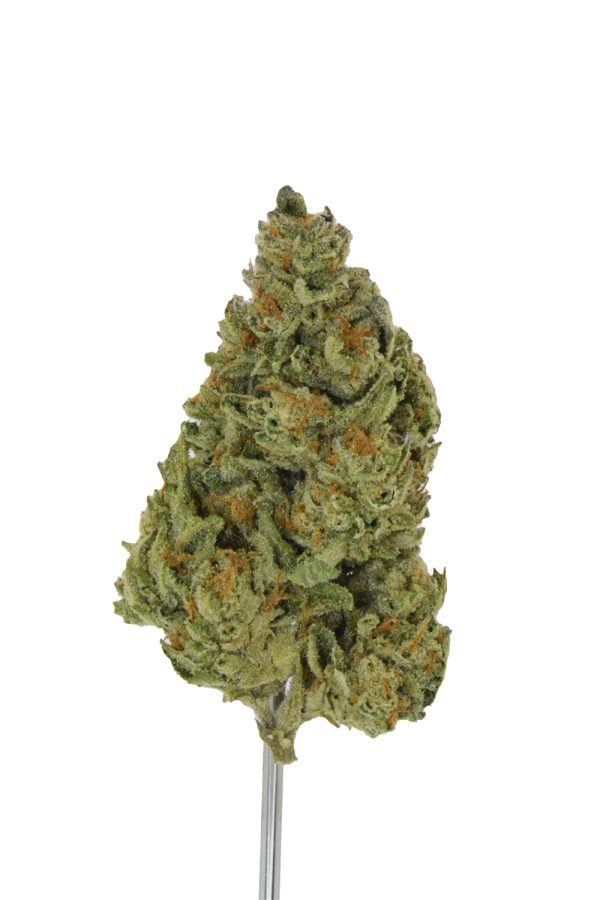 Blueberry Cupcake THCa Flower - Image 3
