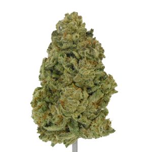 Blueberry Cupcake THCa Flower