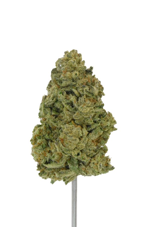 Blueberry Cupcake THCa Flower