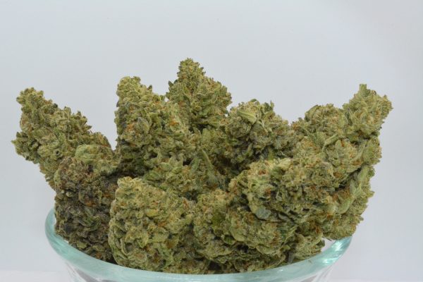 Blueberry Cupcake THCa Flower - Image 4