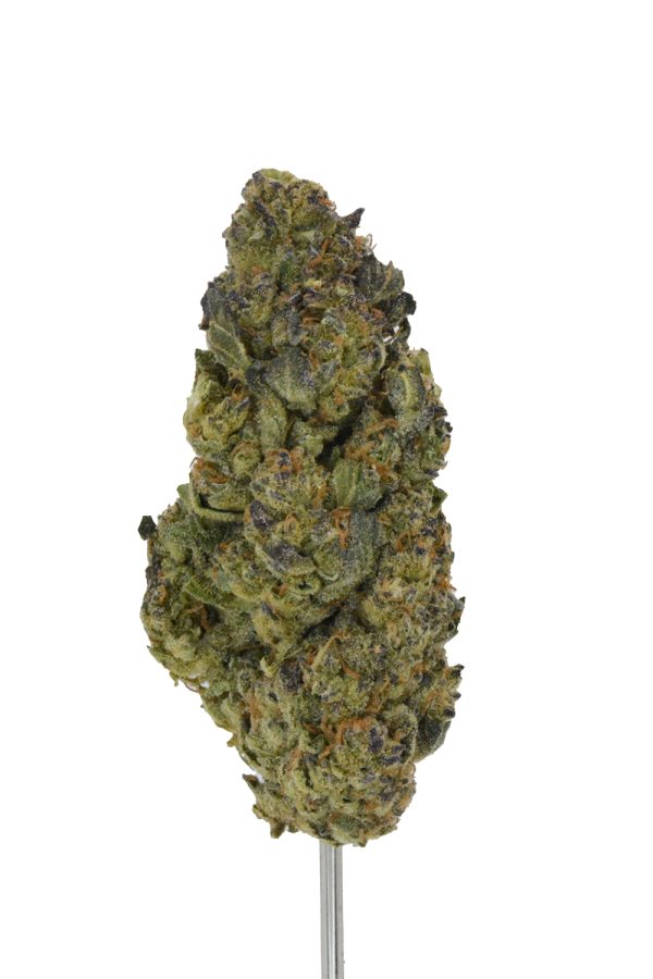 Governmint Oasis THCa Flower - Image 3