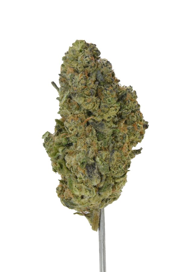 Governmint Oasis THCa Flower