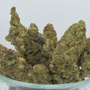 Governmint Oasis THCa Flower - Image 5