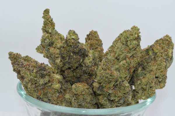 Governmint Oasis THCa Flower - Image 5