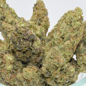 Governmint Oasis THCa Flower - Image 4