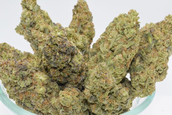 Governmint Oasis THCa Flower - Image 4