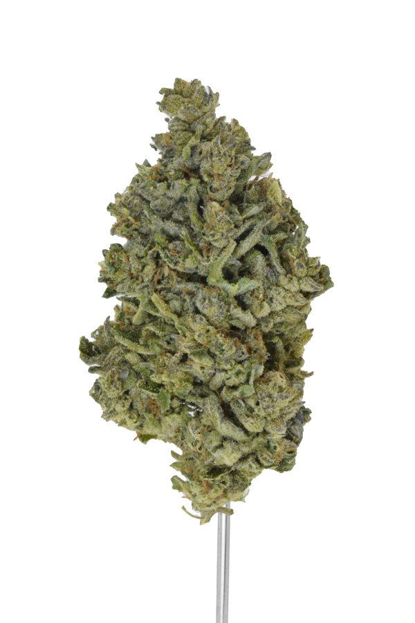 Kashmiracle THCa Flower
