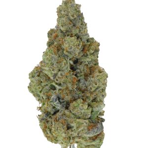 LA Cheese THCa Flower