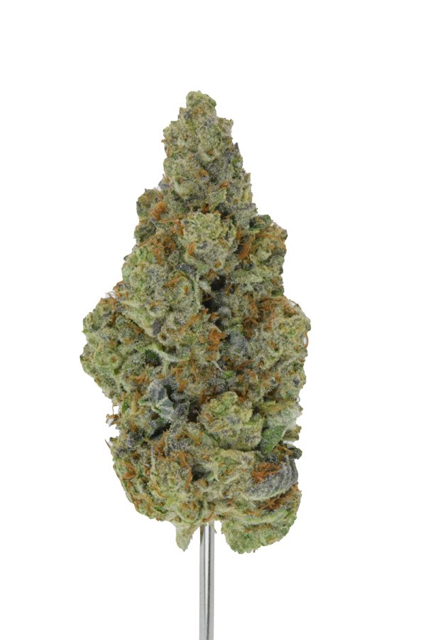 LA Cheese THCa Flower