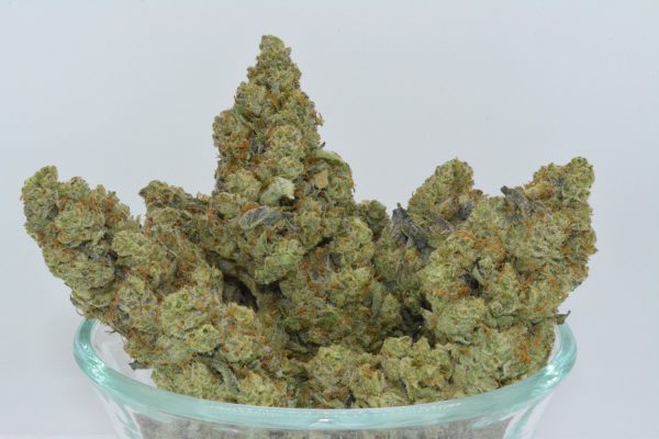 LA Cheese THCa Flower - Image 4