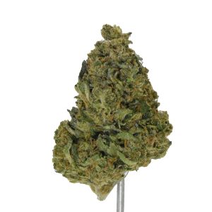 OG Kush THCa Flower