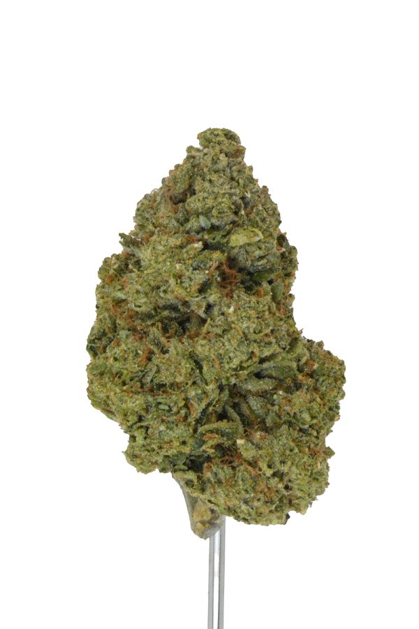 Obama Runtz THCa Flower