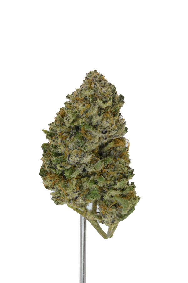 P85 THCa Flower