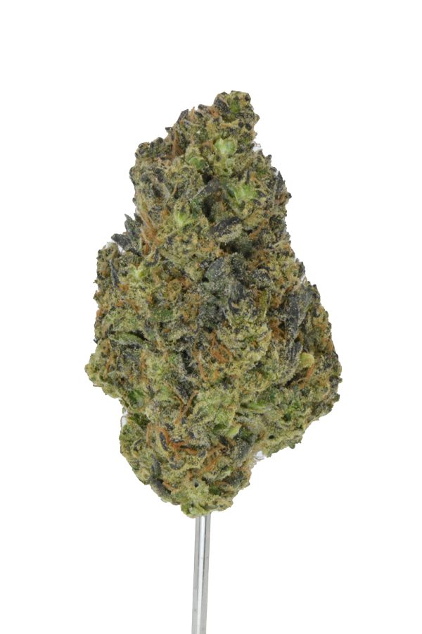 Purple Cream Jealousy THCa Flower