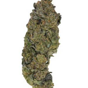 Purple Cream Jealousy THCa Flower - Image 3