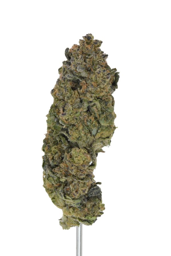 Purple Cream Jealousy THCa Flower - Image 3