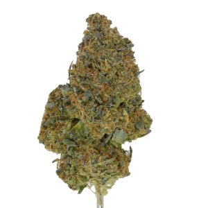 Dream Queen THCa Flower