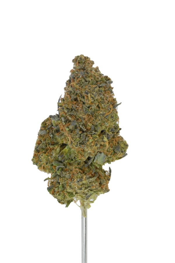 Dream Queen THCa Flower