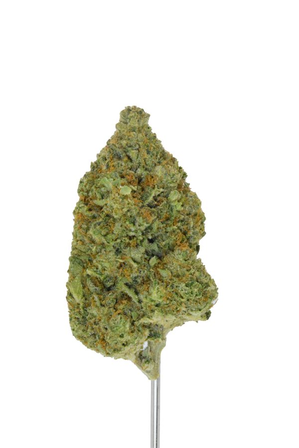 Passion Fruit THCa Flower - Image 3
