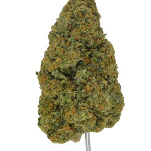 Baccio THCa Flower