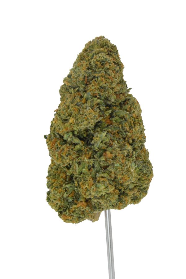 Baccio THCa Flower