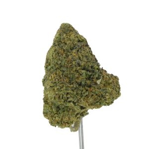 Banana Cream Jealousy THCa Flower