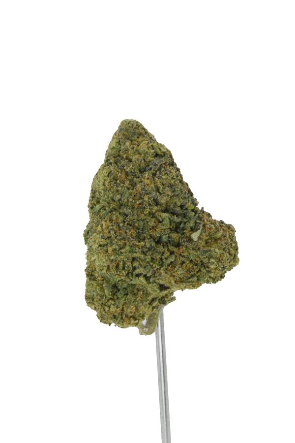 Banana Cream Jealousy THCa Flower