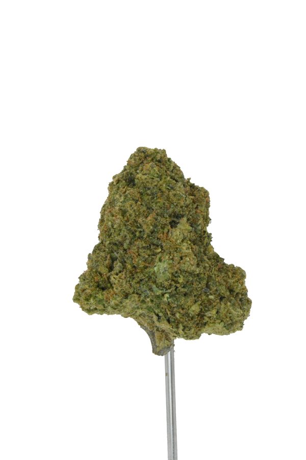 Banana Cream Jealousy THCa Flower - Image 3
