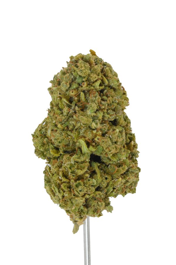 Jack Herer THCa Flower