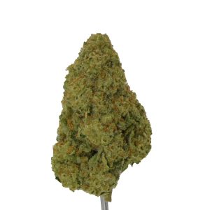Guava THCa Flower