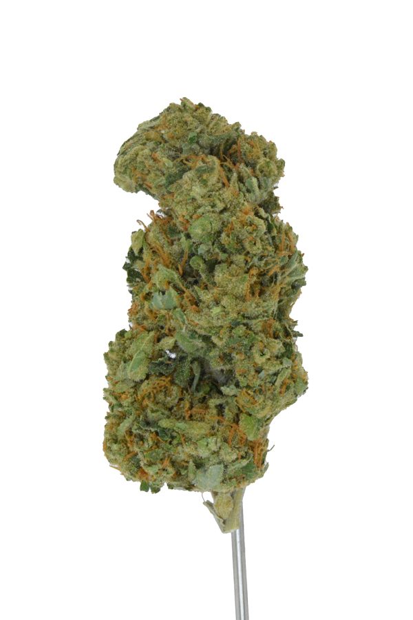 Hero THCa Flower - Image 4