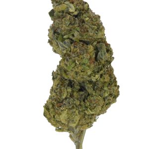 Pink Zertz THCa Flower