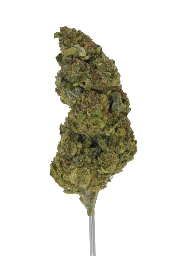 Pink Zertz THCa Flower