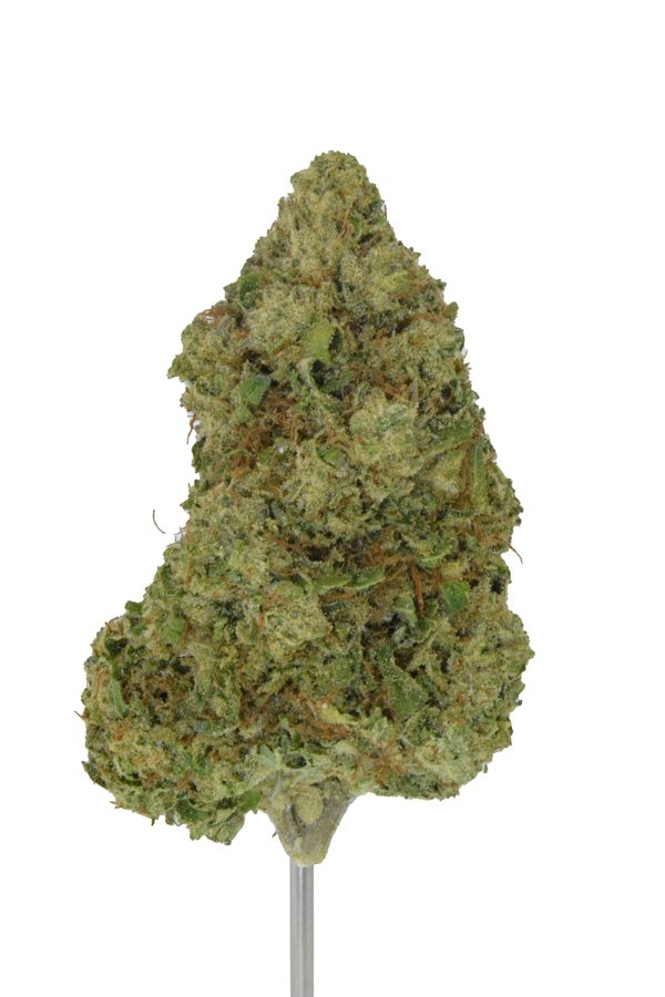 Wedding Cake x Oreoz THCa Flower