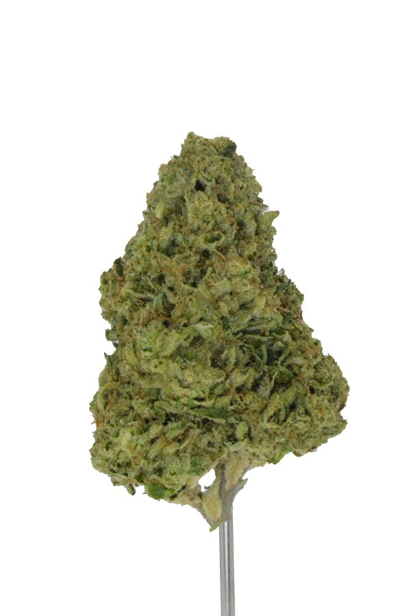 Wedding Cake x Oreoz THCa Flower - Image 3