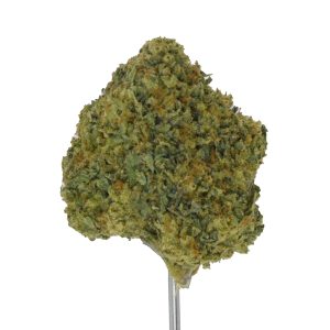 Zushi THCa Flower